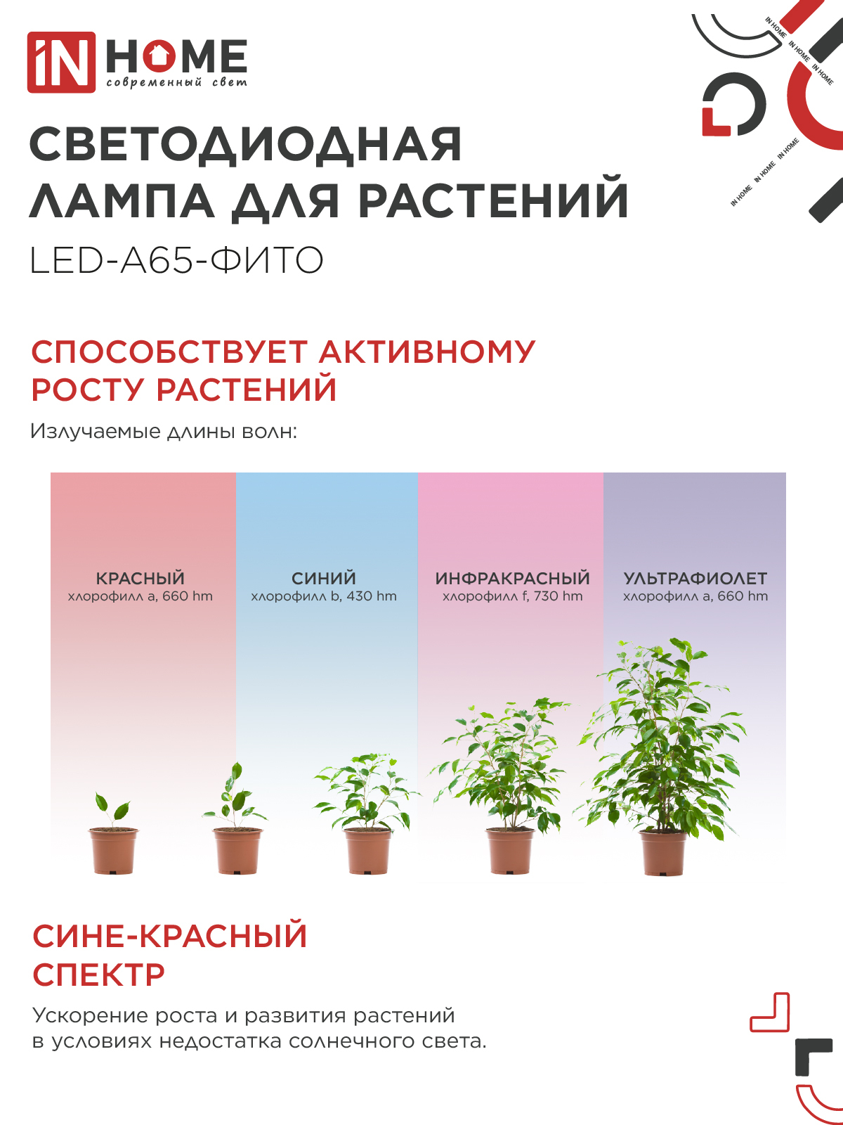 Лампа светодиодная LED-A65 STD-ФИТО красно-синий спектр 25Вт 230В Е27 IN HOME в Чите