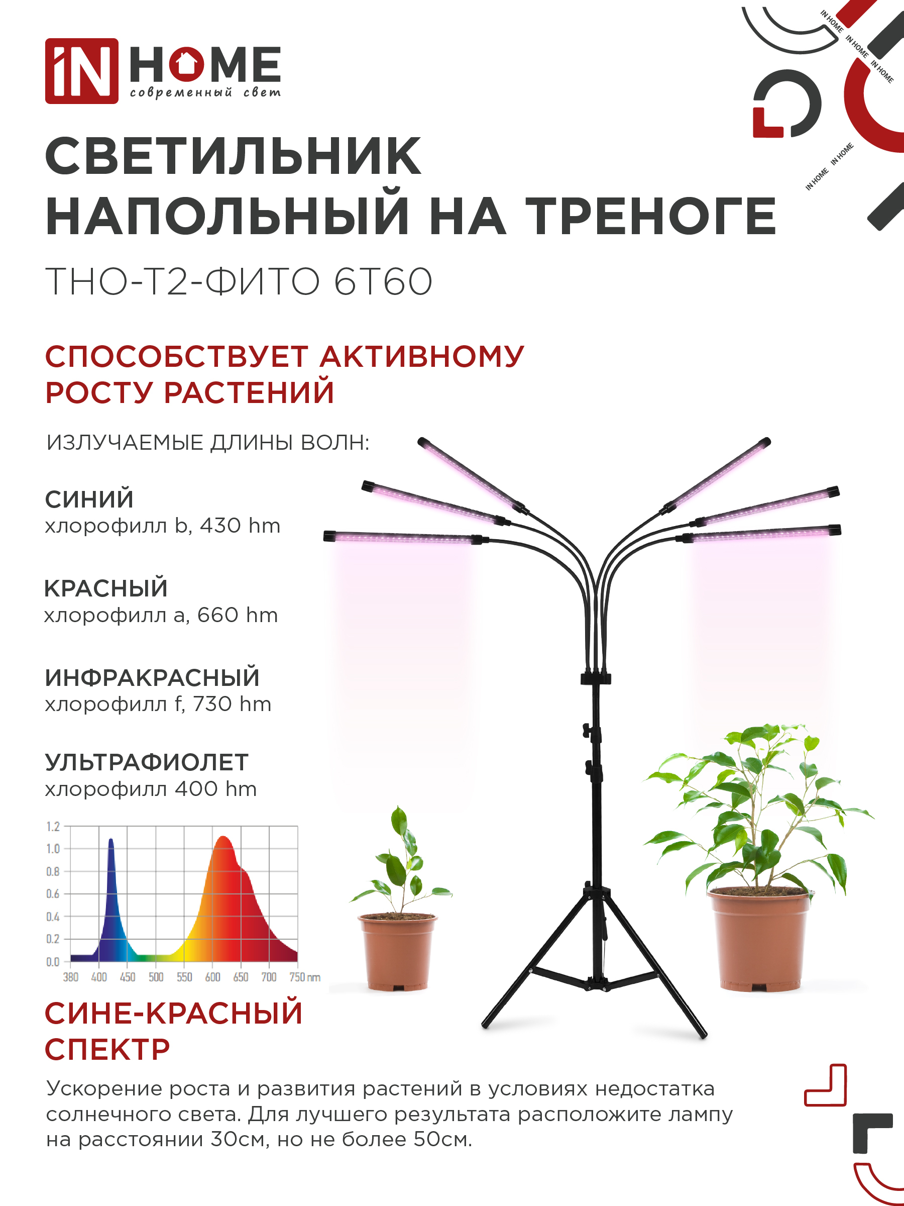 Светильник напольный на треноге светодиодный ТНО-Т2-ФИТО красно-синий 6Т60 60Вт 6 плафонов, пульт на шнуре IN HOME в Чите