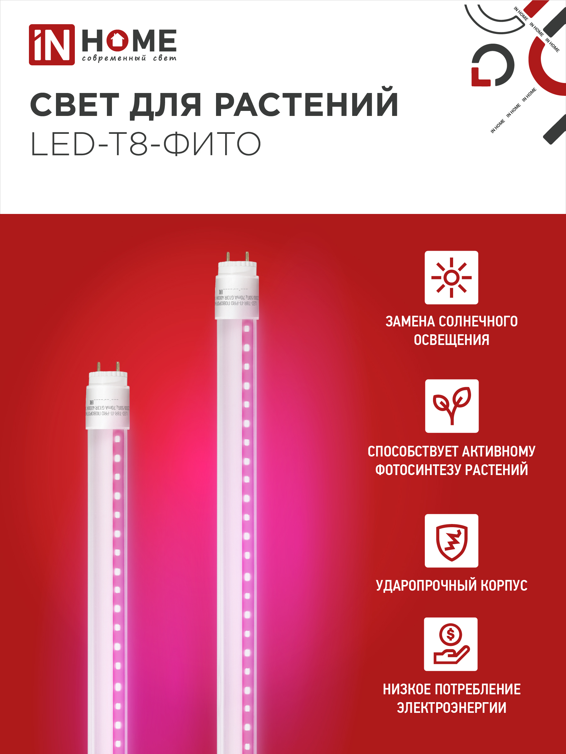 Лампа светодиодная LED-T8-ФИТО 10Вт 230В G13 600мм IN HOME в Чите