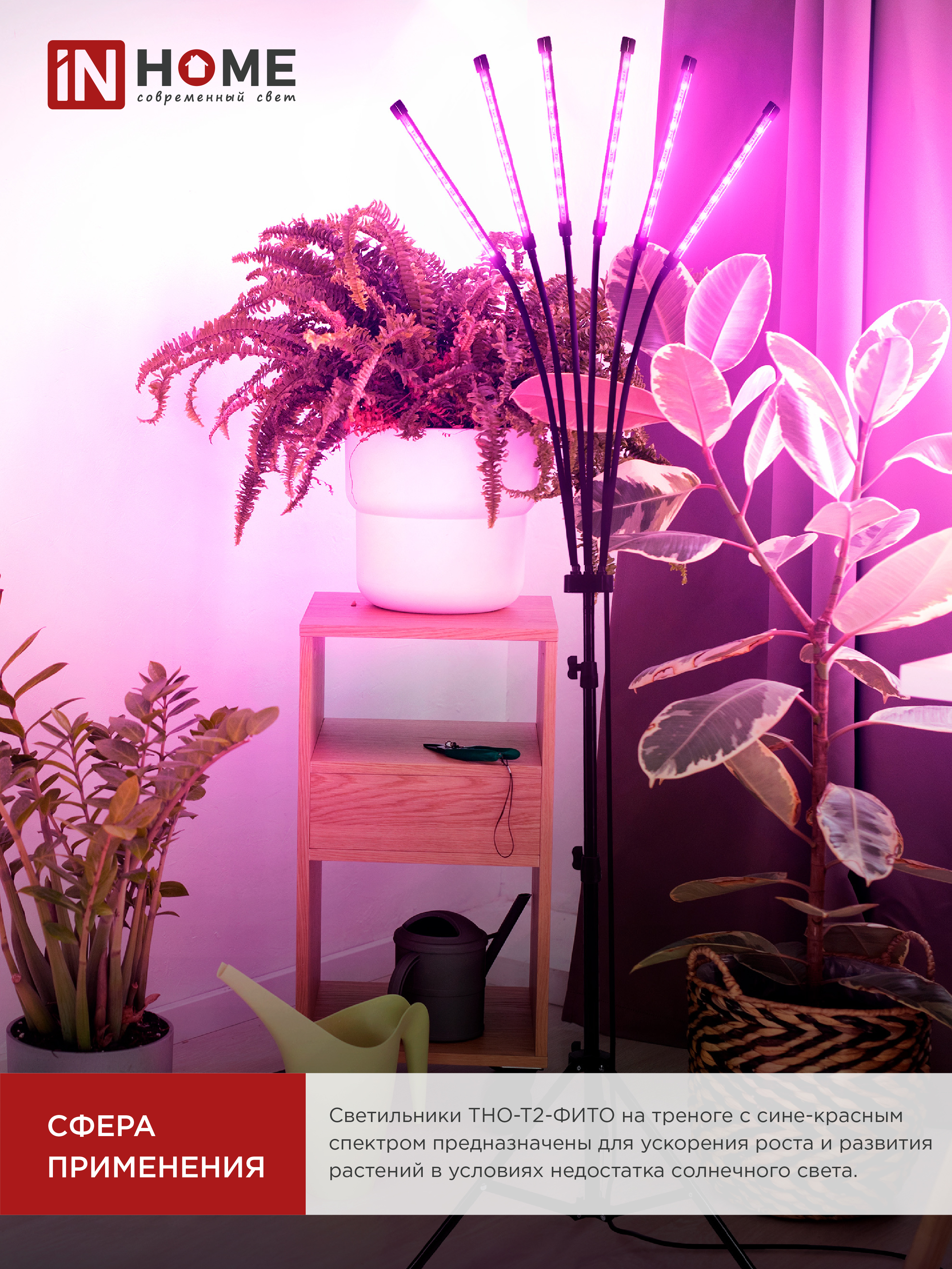 Светильник напольный на треноге светодиодный ТНО-Т2-ФИТО красно-синий 6Т60 60Вт 6 плафонов, пульт на шнуре IN HOME в Чите