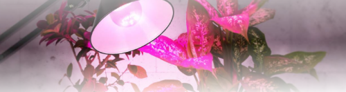 Лампа светодиодная LED-A-PRO ФИТО