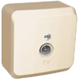 Розетка телевизионная ЭТЮД SE накладная крем в Чите