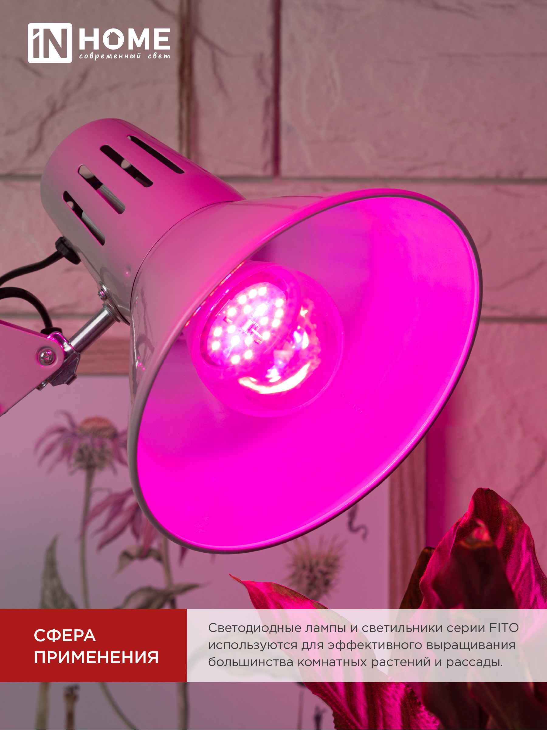 Лампа светодиодная LED-A60 STD-ФИТО красно-синий спектр 15Вт 230В Е27 IN HOME в Чите