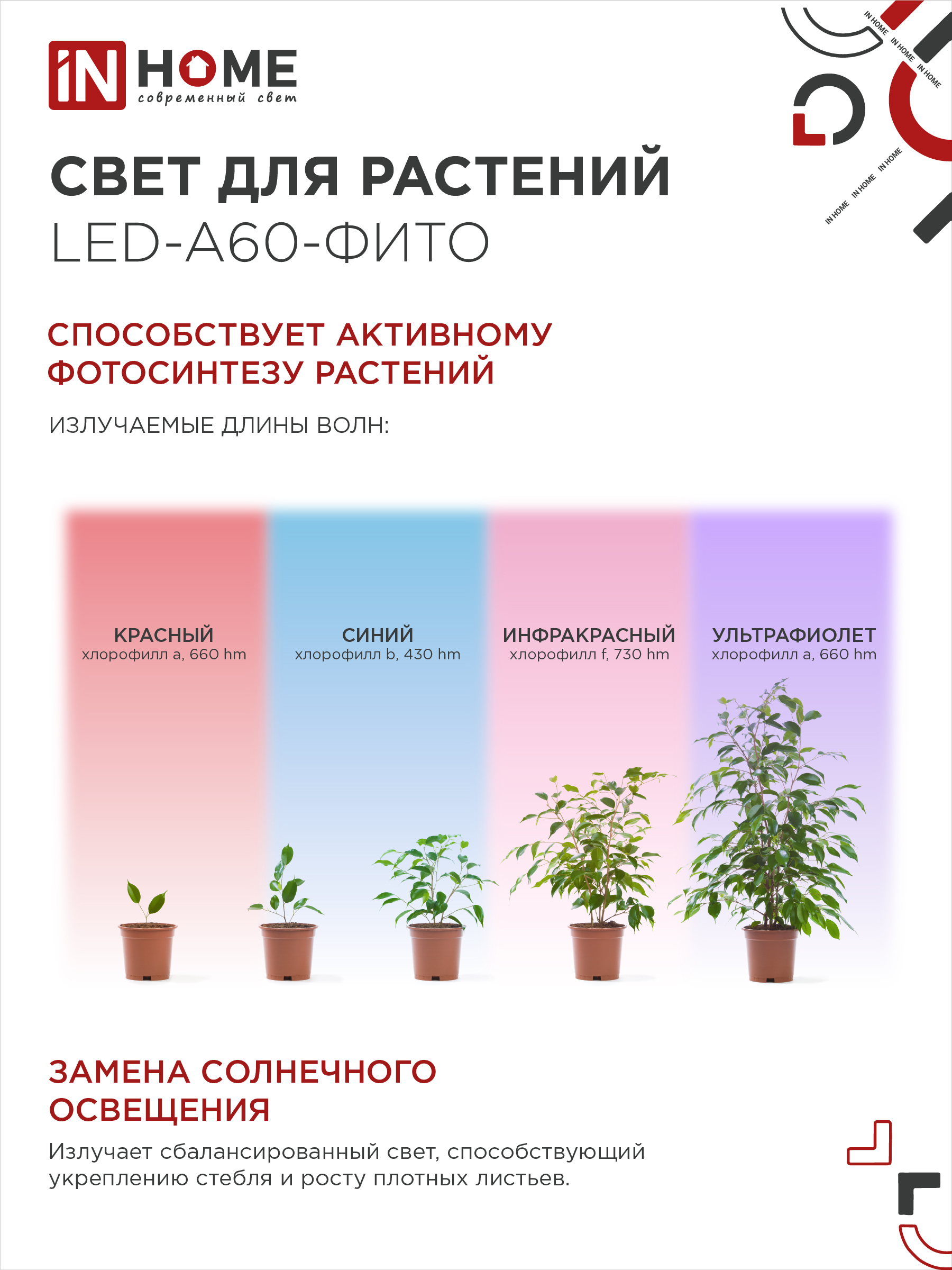 Лампа светодиодная LED-A60 STD-ФИТО красно-синий спектр 15Вт 230В Е27 IN HOME в Чите