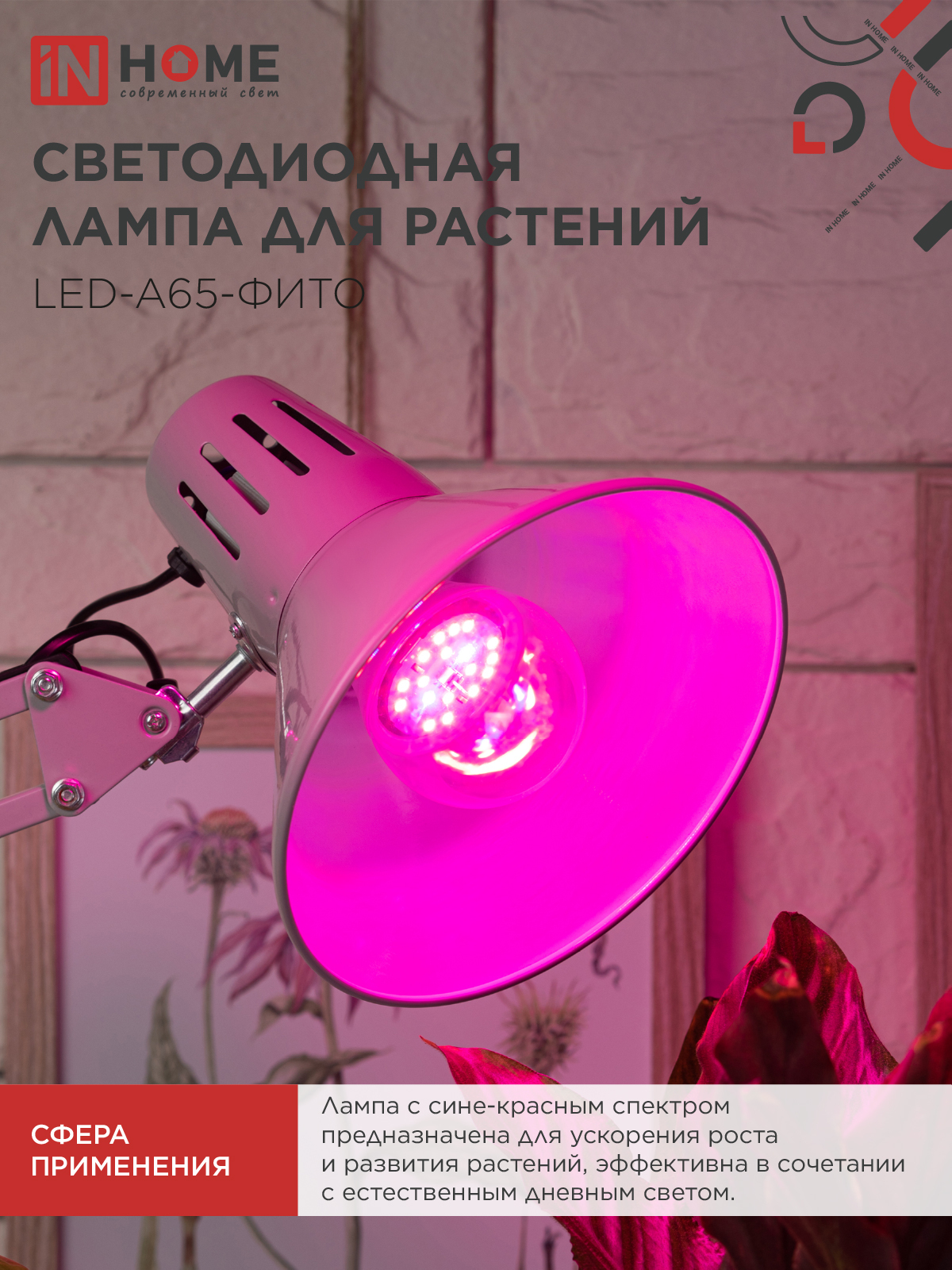 Лампа светодиодная LED-A65 STD-ФИТО красно-синий спектр 25Вт 230В Е27 IN HOME в Чите