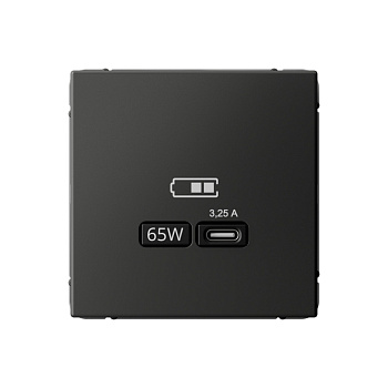ARTGALLERY USB РОЗЕТКА тип-С 65Вт высокоскор.заряд. QC, PD, механизм, БАЗАЛЬТ в Чите
