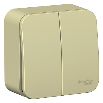 Выключатель двухклавишный (cх.5) BLANCA SE с изолирующей пластиной бежевый в Чите