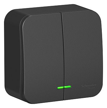 Выключатель двухклавишный BLANCA SE накладной с подсветкой с изолирующей пластиной антрацит в Чите