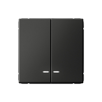 ARTGALLERY 2-клавишный ВЫКЛЮЧАТЕЛЬ с подсветкой, сх.5а, 10АХ, механизм, БАЗАЛЬТ в Чите