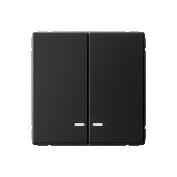 ARTGALLERY 2-клавишный ВЫКЛЮЧАТЕЛЬ с подсветкой, сх.5а, 10АХ, механизм, КАРБОН в Чите