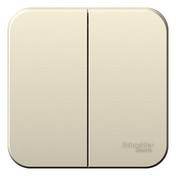 Выключатель двухклавишный BLANCA SE накладной с изолирующей пластиной молочный в Чите