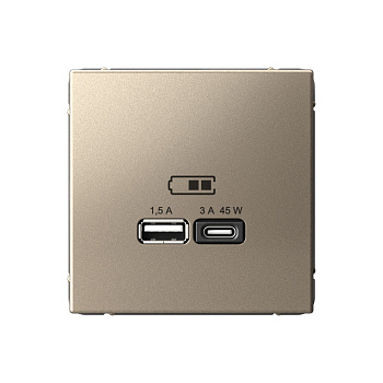 ARTGALLERY USB РОЗЕТКА A + тип-C 45Вт высокоскор.заряд. QC, PD, механизм, ШАМПАНЬ в Чите