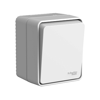 Выключатель одноклавишный AtlasDesign SE Profi54 накладной серый в Чите