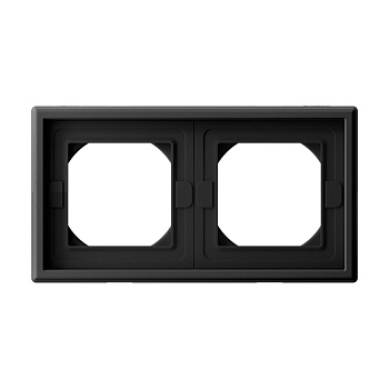 ARTGALLERY 2-постовая РАМКА IP44,  КАРБОН в Чите
