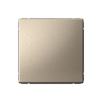 ARTGALLERY 1-клавишный ВЫКЛЮЧАТЕЛЬ, сх.1, 10АХ, ШАМПАНЬ в Чите