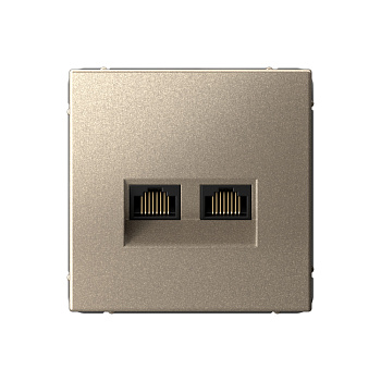 ARTGALLERY РОЗЕТКА двойная компьютерная RJ45+RJ45, кат.6А, механизм, ШАМПАНЬ в Чите