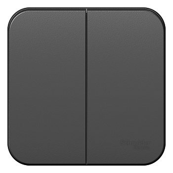 Выключатель двухклавишный BLANCA SE накладной с изолирующей пластиной антрацит в Чите