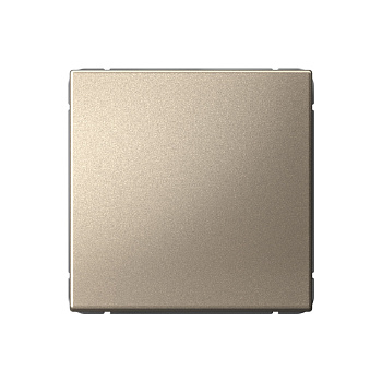 ARTGALLERY 1-клавишный ВЫКЛЮЧАТЕЛЬ КНОПОЧНЫЙ, 10А, механизм, ШАМПАНЬ в Чите