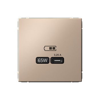 ARTGALLERY USB РОЗЕТКА тип-С 65Вт высокоскор.заряд. QC, PD, механизм, ПЕСОЧНЫЙ в Чите
