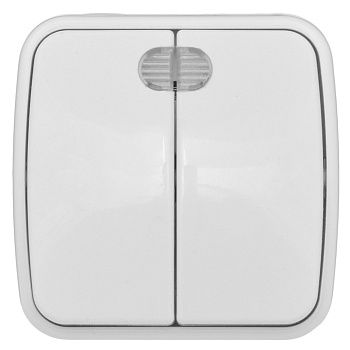 Минск Выключатель 2-клавишный ОП 10А с индикатором белый  EKF Basic в Чите