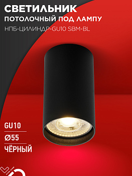 Светильник потолочный НПБ-ЦИЛИНДР-GU10 SBM-BL под GU10 55х100мм черный IN HOME в Чите